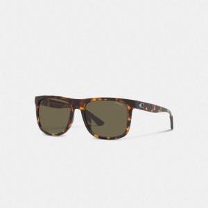 Men Coach Beveled Signature Flat Top Square Sunglasses Brown | IN_CH49888
