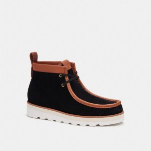 Men Coach Chukka Boots Black | IN_CH19265