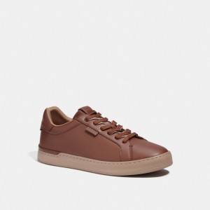 Men Coach Lowline Low Top Sneakers Brown | IN_CH86813