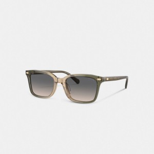 Men Coach Narrow Square Sunglasses Green / Brown | IN_CH65791