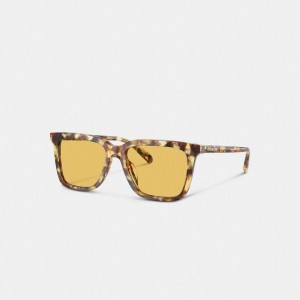 Men Coach Signature Square Honey Sunglasses Orange | IN_CH45831