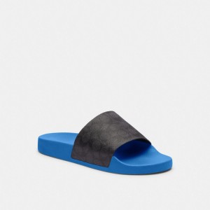 Men Coach Slideberry Sandals Blue | IN_CH62786