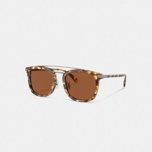 Men Coach Wrap Around Hangtag Browbar Honey Sunglasses Orange | IN_CH42611
