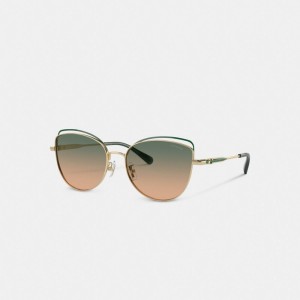 Women Coach Bandit Wire Oval Gradient Sunglasses Green Yellow | IN_CH44197