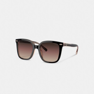 Women Coach Beveled Signature Oversized Square Sunglasses Black / Pink | IN_CH24782