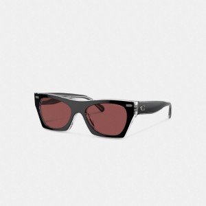 Women Coach Beveled Signature Square & Clear Sunglasses Black | IN_CH75759