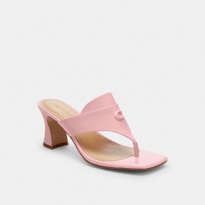 Women Coach Bree Soft Sandals Pink | IN_CH10569