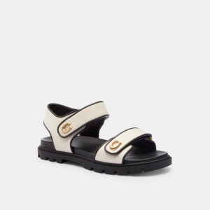 Women Coach Brynn Chalk Sandals Black | IN_CH48123