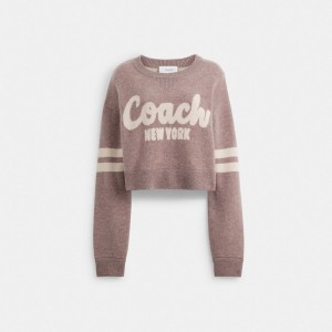 Women Coach Cropped Sweaters Pink | IN_CH74406
