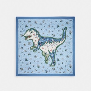 Women Coach Floral Print Rexy Silk Square Scarf Multicolor | IN_CH29933
