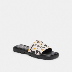 Women Coach Florence With Floral Print Chalk Sandals Multicolor | IN_CH39721
