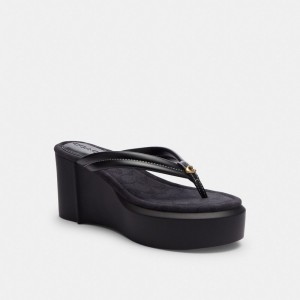 Women Coach Franki Flip Flop In Signature Jacquard Sandals Black | IN_CH84000