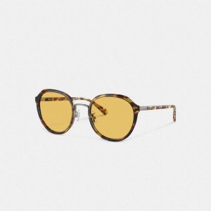 Women Coach Hangtag Geometric Round Honey Sunglasses Orange | IN_CH32713