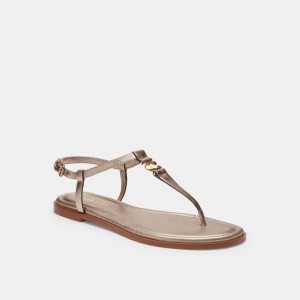 Women Coach Jessica Champagne Sandals Brown | IN_CH31892