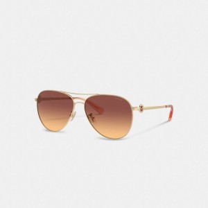 Women Coach Metal Aviator Sunglasses Dark Brown | IN_CH21436