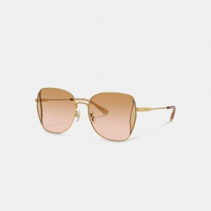 Women Coach Oversized Butterfly Peach Blush Sunglasses Coral Pink | IN_CH16761