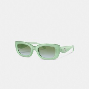 Women Coach Pillow Tabby Narrow Rectangle Mint Sunglasses Mint | IN_CH30524