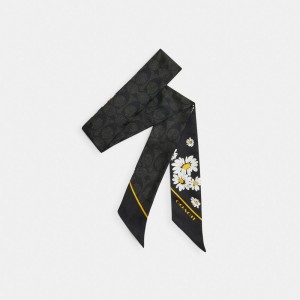 Women Coach Signature Daisy Cluster Print Silk Skinny Scarf Black | IN_CH36686