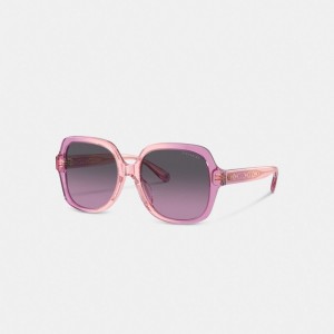 Women Coach Signature Ombré Oversized Square Sunglasses Pink Purple | IN_CH80216