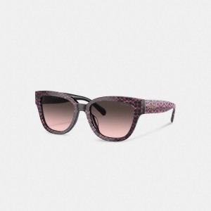 Women Coach Signature Round Ruby Pearlized Signature Sunglasses Brown | IN_CH71891