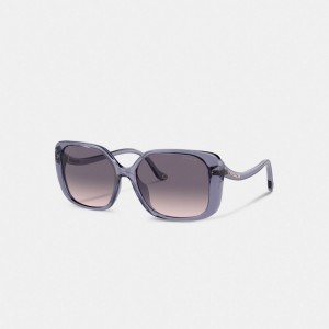 Women Coach Swoop Temple Rectangle Transparent Sunglasses Purple | IN_CH98802