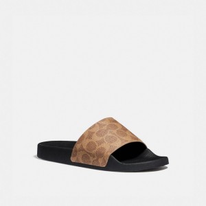 Women Coach Udele Sport In Signature Sandals Brown | IN_CH45808