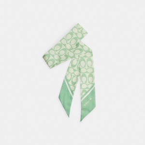 Women Coach Vintage Signature Print Silk Skinny Pale Pistachio Scarf Green | IN_CH12219