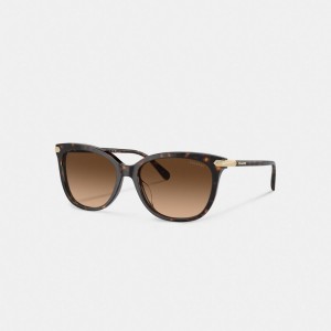 Women Coach Wrap Around Hangtag Square Sunglasses Brown | IN_CH88825